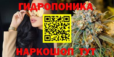 apvp Заволжье