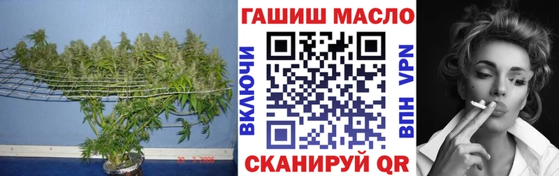 ТГК гашишное масло  купить наркотик  Малгобек 